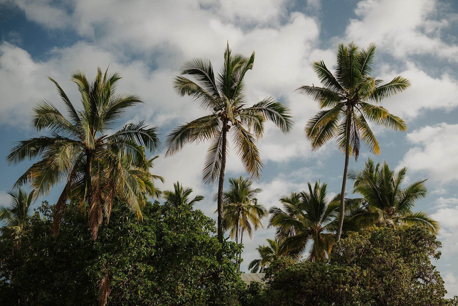 Hawaii Beach Elopement Packages